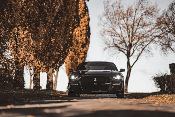 SuperNopea Casino Android/iOS Forrit